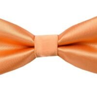 Silk Bowtie